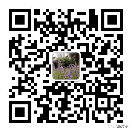 包头市台地公园景观,包头台地公园介绍