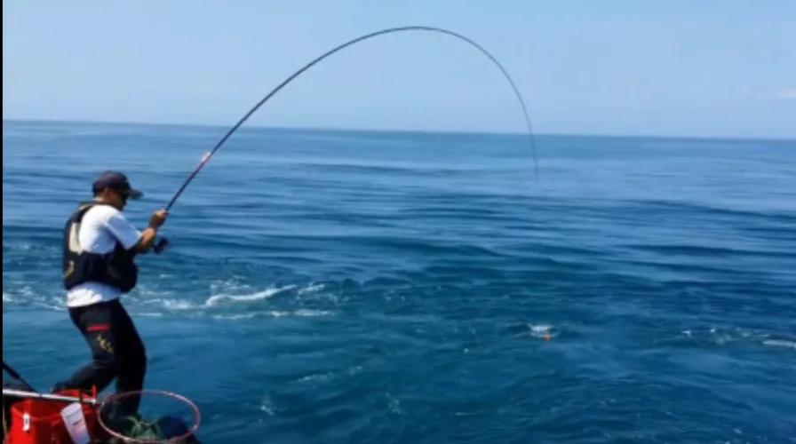 高端鱼竿买几米的,高端鱼竿为什么那么贵