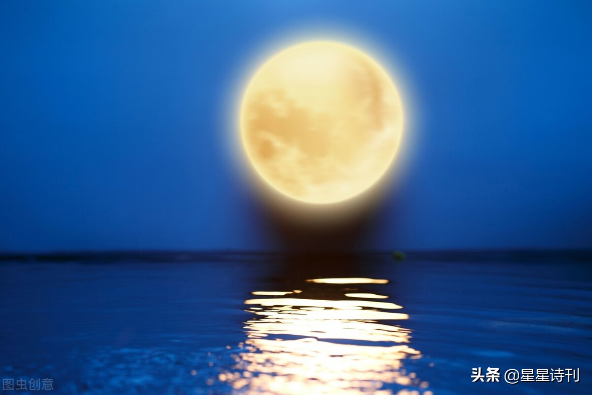 2022短诗大赛,2021年短诗大赛