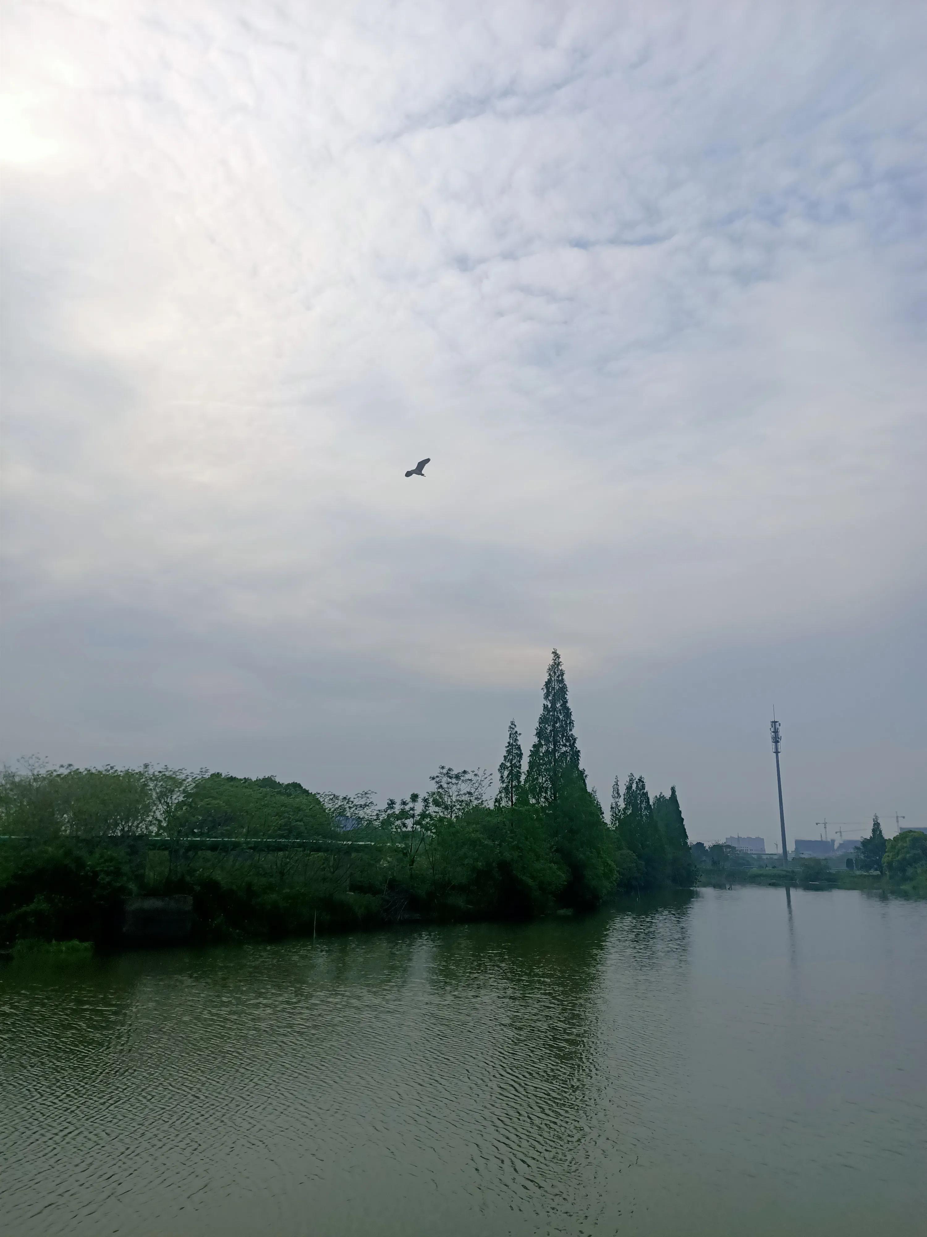 怎么解决孩子恋家的心理,孩子恋家怎样安慰开导