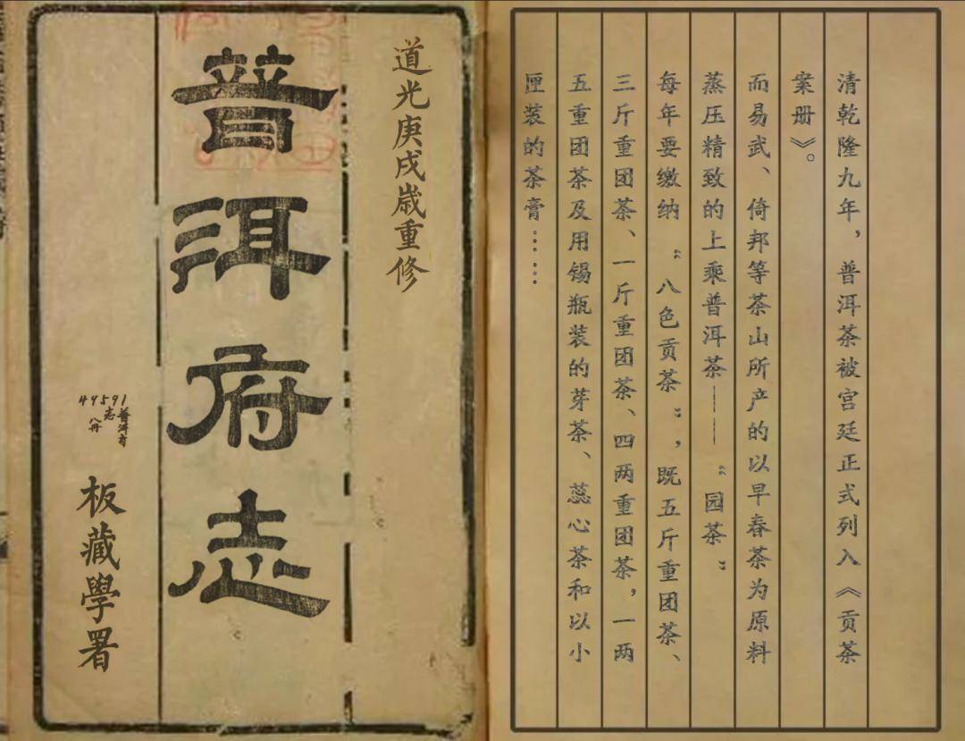 易武茶特点苦涩轻甜,普洱茶易武茶的特点