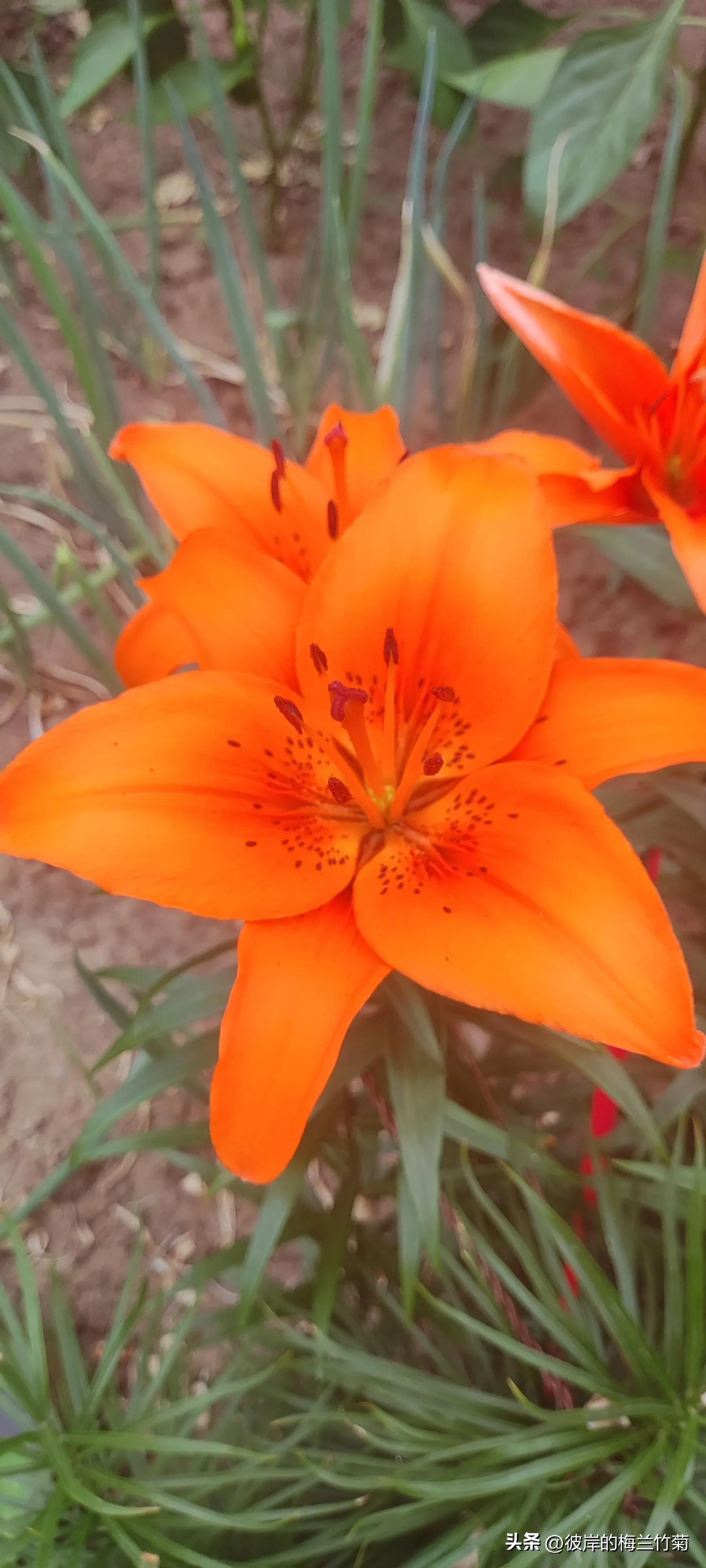 fbi教你10秒钟读懂面部微表情,fbi教你十秒读懂面部微表情书