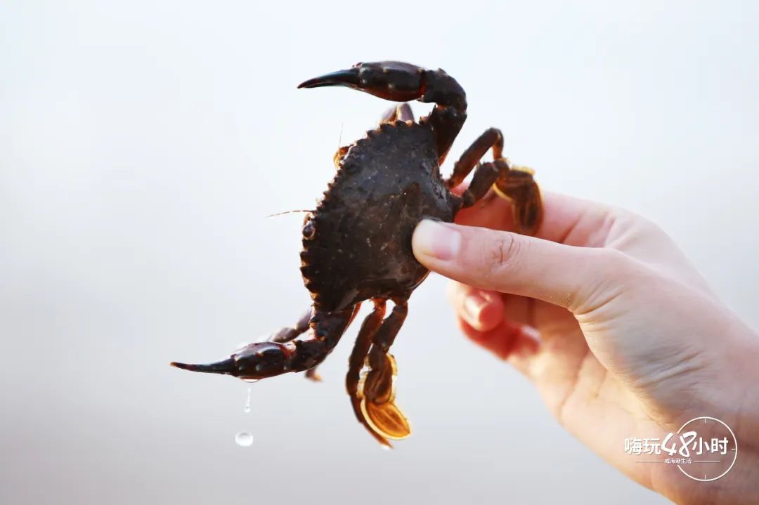 山东荣成云栖民宿,荣成海云栖民宿