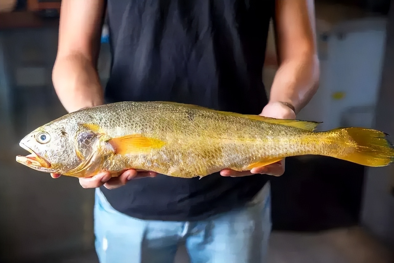 深入研究了青岛海鲜市场后，我重新理解了可持续的食物系统