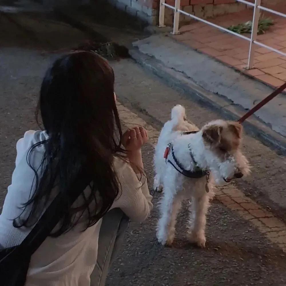 心动的动漫头像男,让人心动女生头像