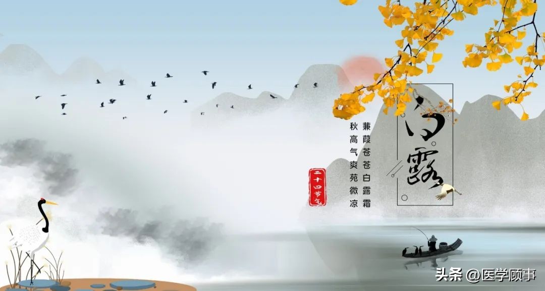 蒹葭苍苍白露为霜是写白露的吗,蒹葭苍苍白露为霜的白露是节气么