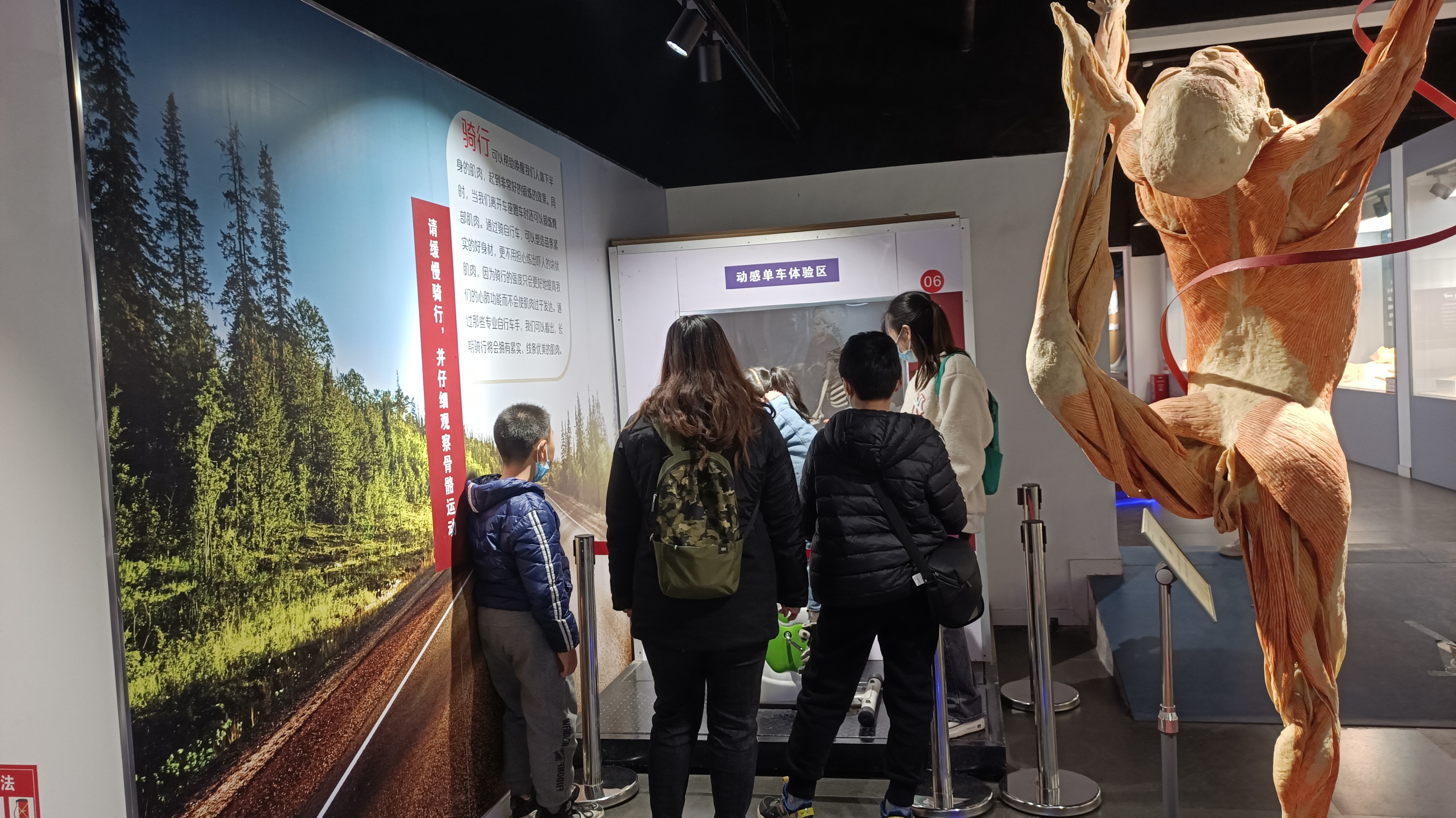 郑州最适合踏青赏花爬山的地方,郑州春日赏花好去处推荐