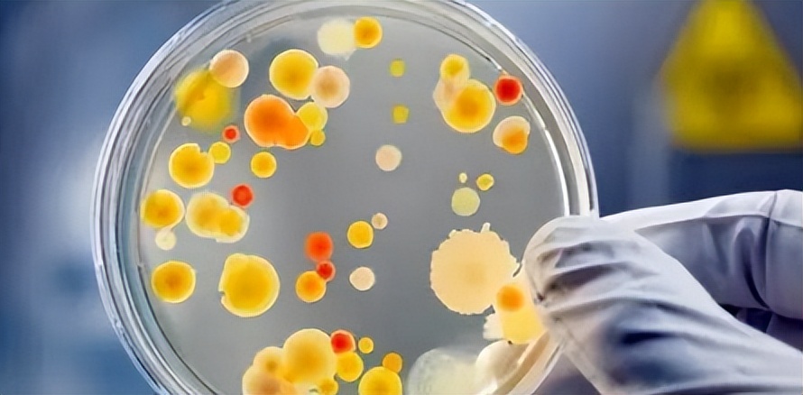 葡萄酒进口清关报关的流程,葡萄酒进口报关哪里有