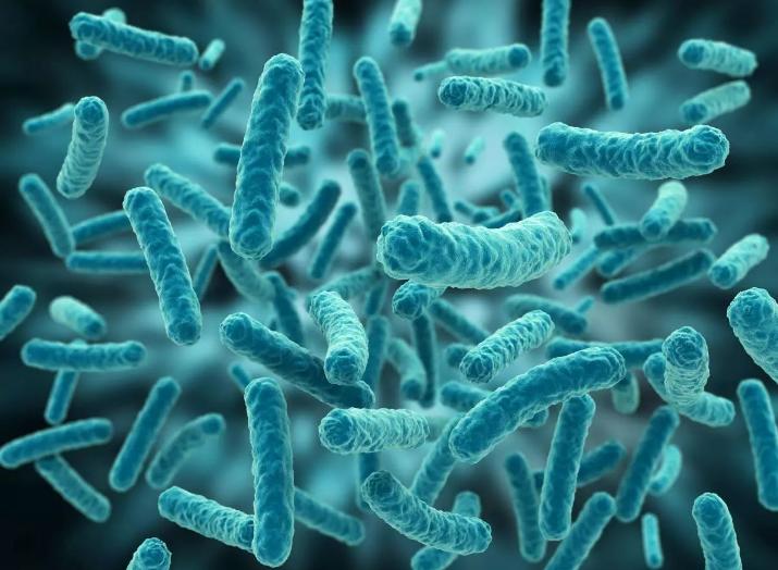 外阴瘙痒是不是炎症快好了的症状,外阴瘙痒是什么炎症