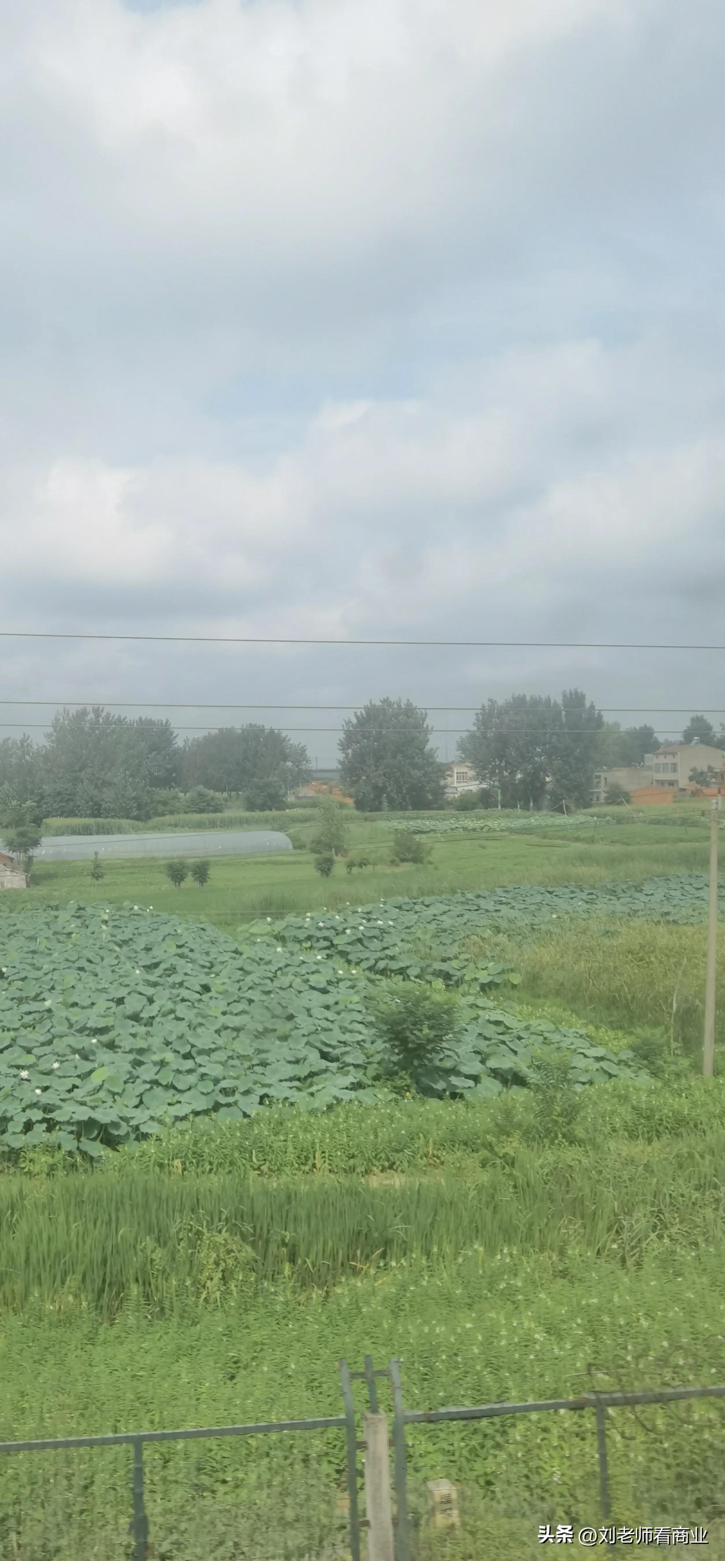 深圳至洛阳k536途经站点,从上海到洛阳k738列车