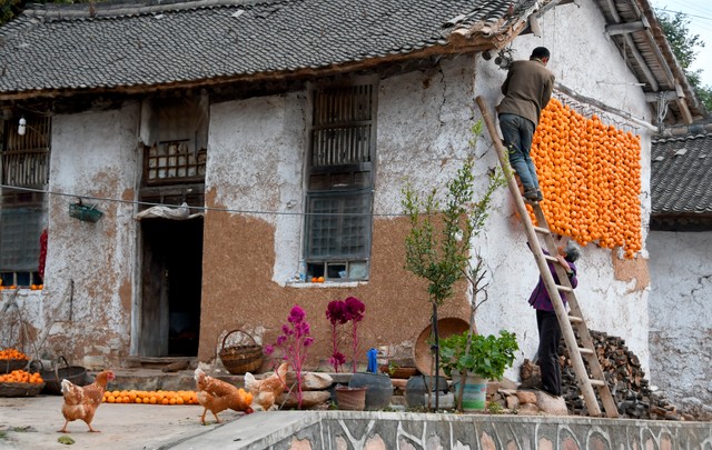 俗话讲穷家富路,俗话说墙倒众人推经典语录