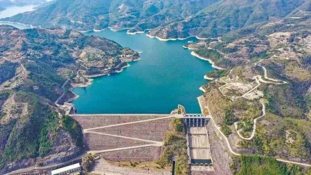 带你们体验摘杨梅的乐趣,酸酸甜甜的杨梅有谁陪我一起采摘