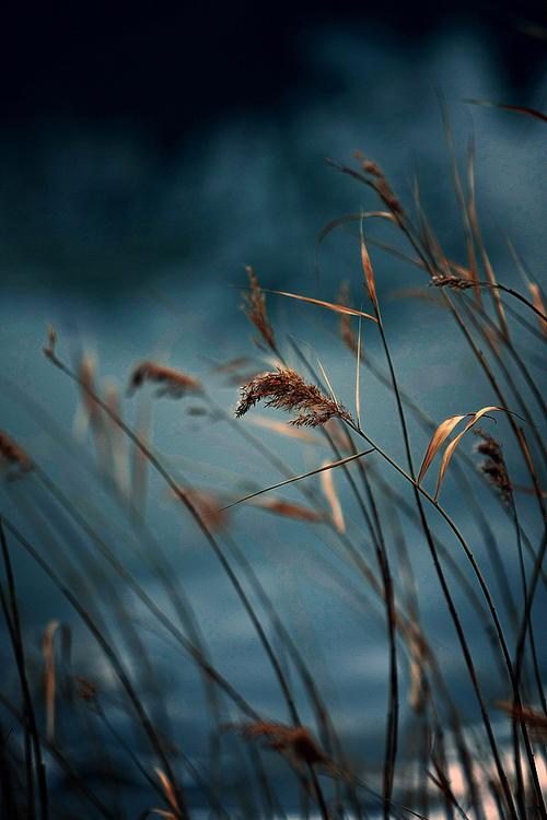 时光流逝蓦然回首散文,岁月微凉的经典散文