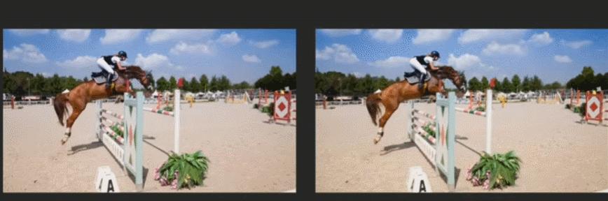 两张照片就能转视频！Google提出FLIM帧插值模型