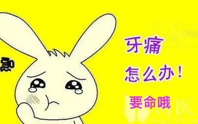 牙痛不是病痛起来要人命表情包,牙痛不是病痛起来要人命视频