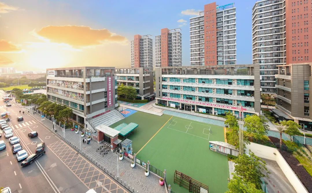 中国首家无边界森林幼儿园,深圳幼儿园景观