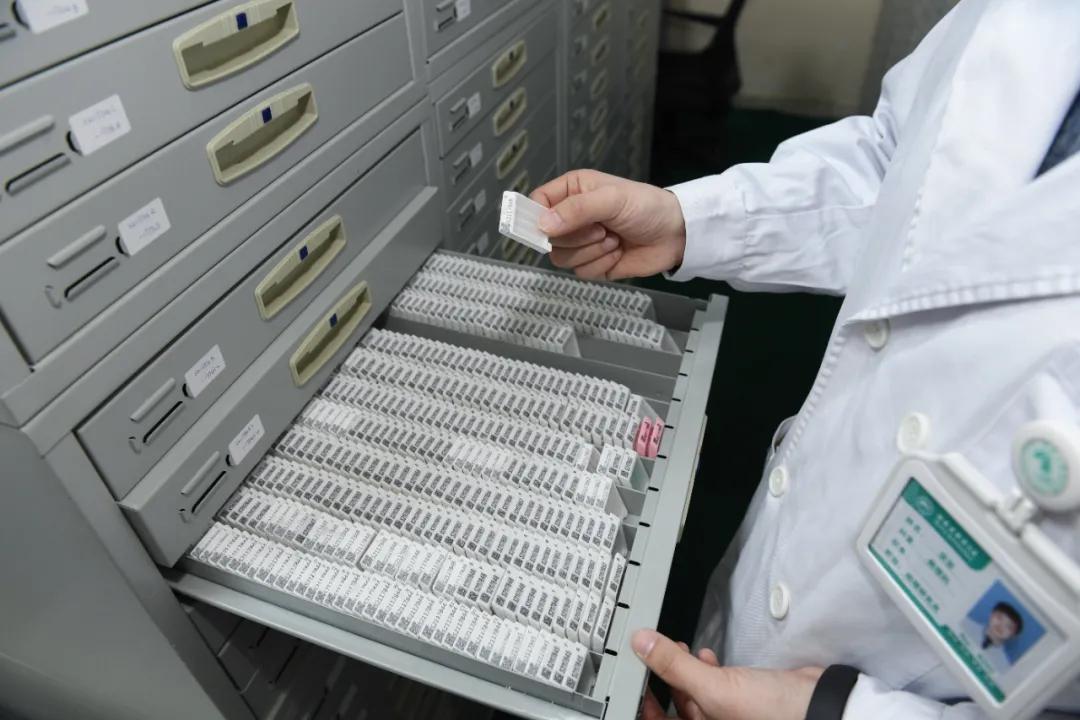 活体病理切片是什么,探访医院病理科