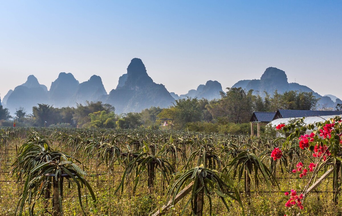 广西2021年上半年广西gdp各市排名,广西的经济发展状况和前景