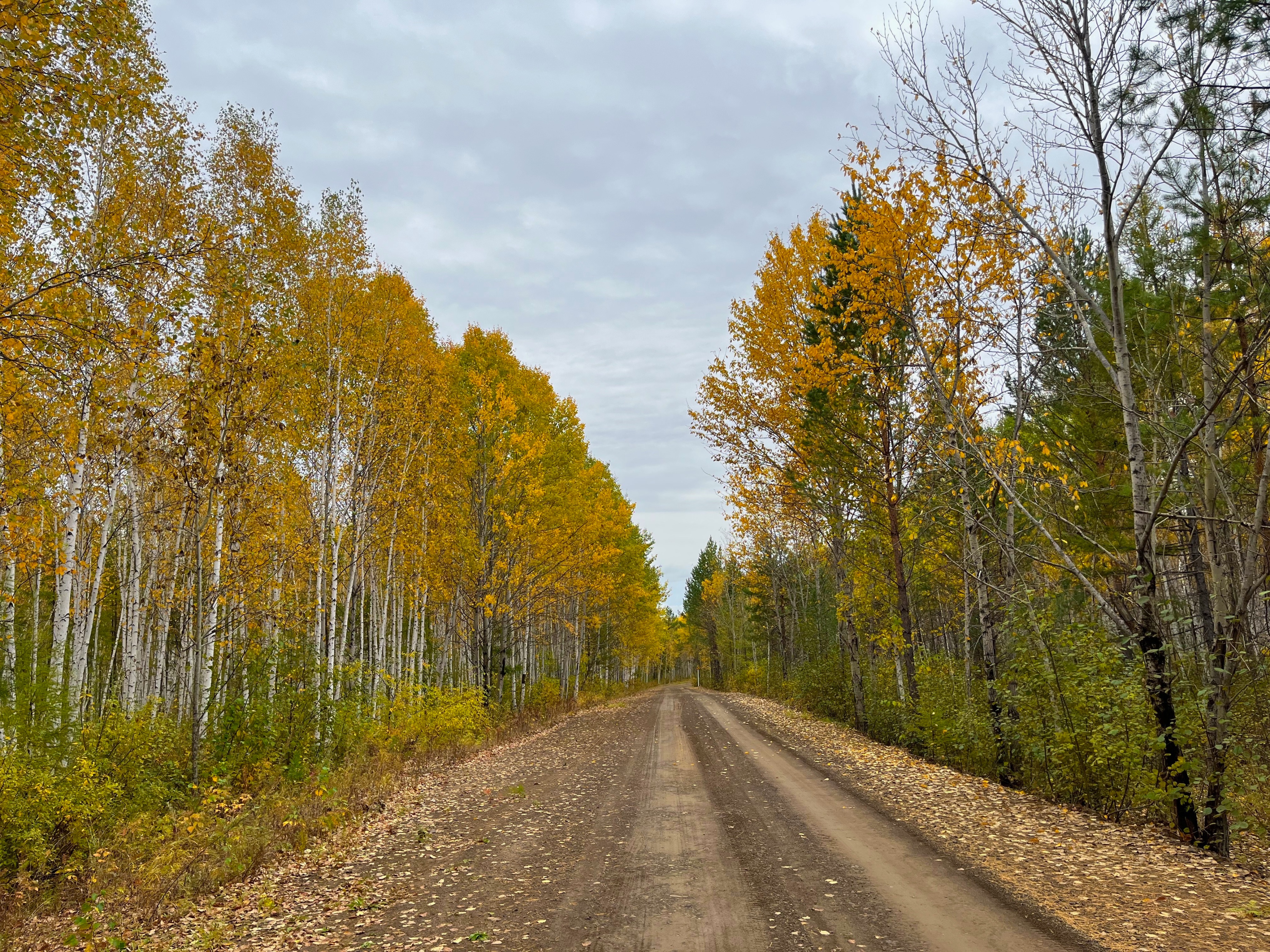 夫妻自驾11000公里,夫妻两人自驾游最新视频