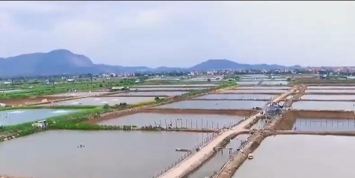 农村大叔用火养鱼年入千万,江西大叔深山养鱼一年收入几百万