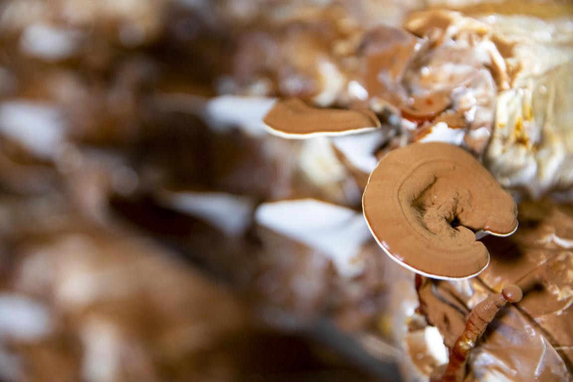 探秘韶关,魅力韶关之旅