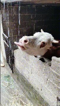 今天过来按脚，恰巧碰见了前女友，我该怎么化解尴尬呢？