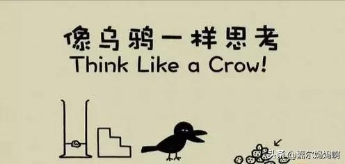 孩子必看十部人文纪录片,值得陪孩子看的30部宝藏纪录片