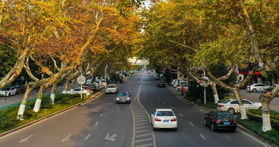 安徽省合肥市旅游景点路径图,合肥市好玩的旅游景点