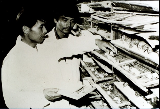 刘氏四兄弟创业史,四川刘氏兄弟怎么起家的