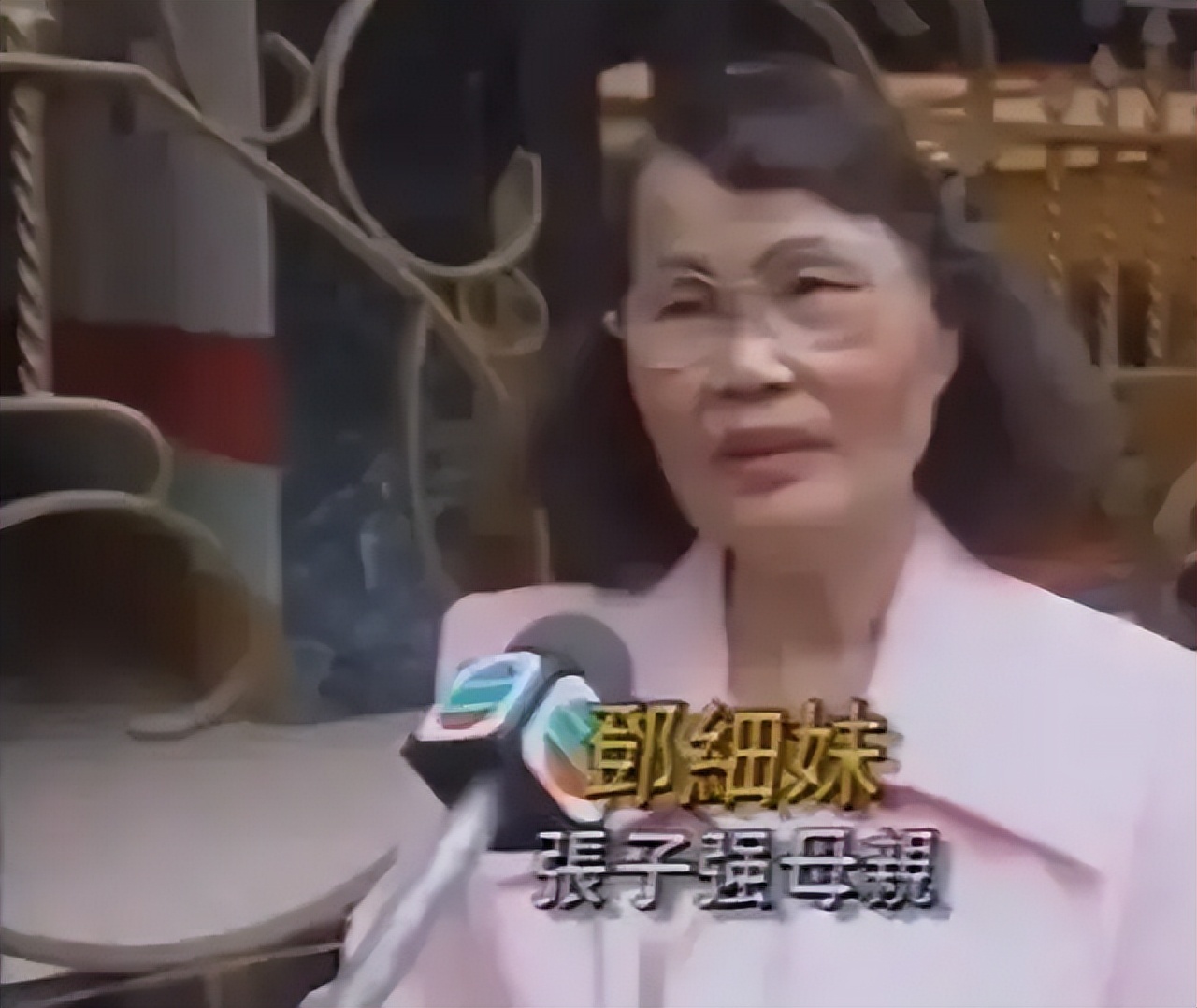 张子强被捕后枪决纪录片大全,张子强被枪决遗言