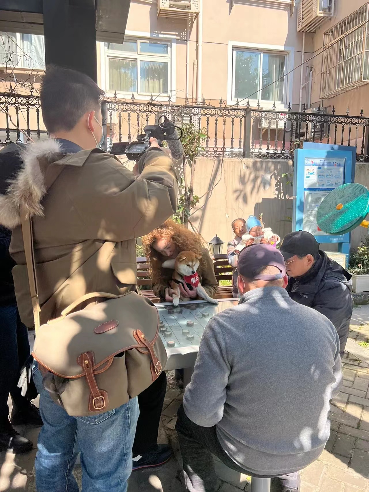 去加拿大当伐木工,如何去加拿大做伐木工