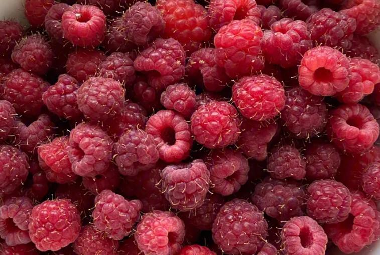 小时候吃的野果子覆盆子,小时候吃像覆盆子的是什么野果