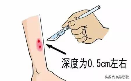 莽山烙铁头17.7公斤是真的吗,莽山烙铁头5000一条是真的吗