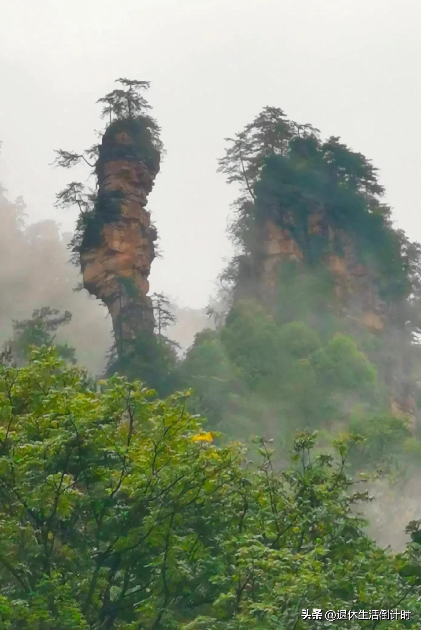 张家界旅游如何避免踩坑,张家界旅游购物坑