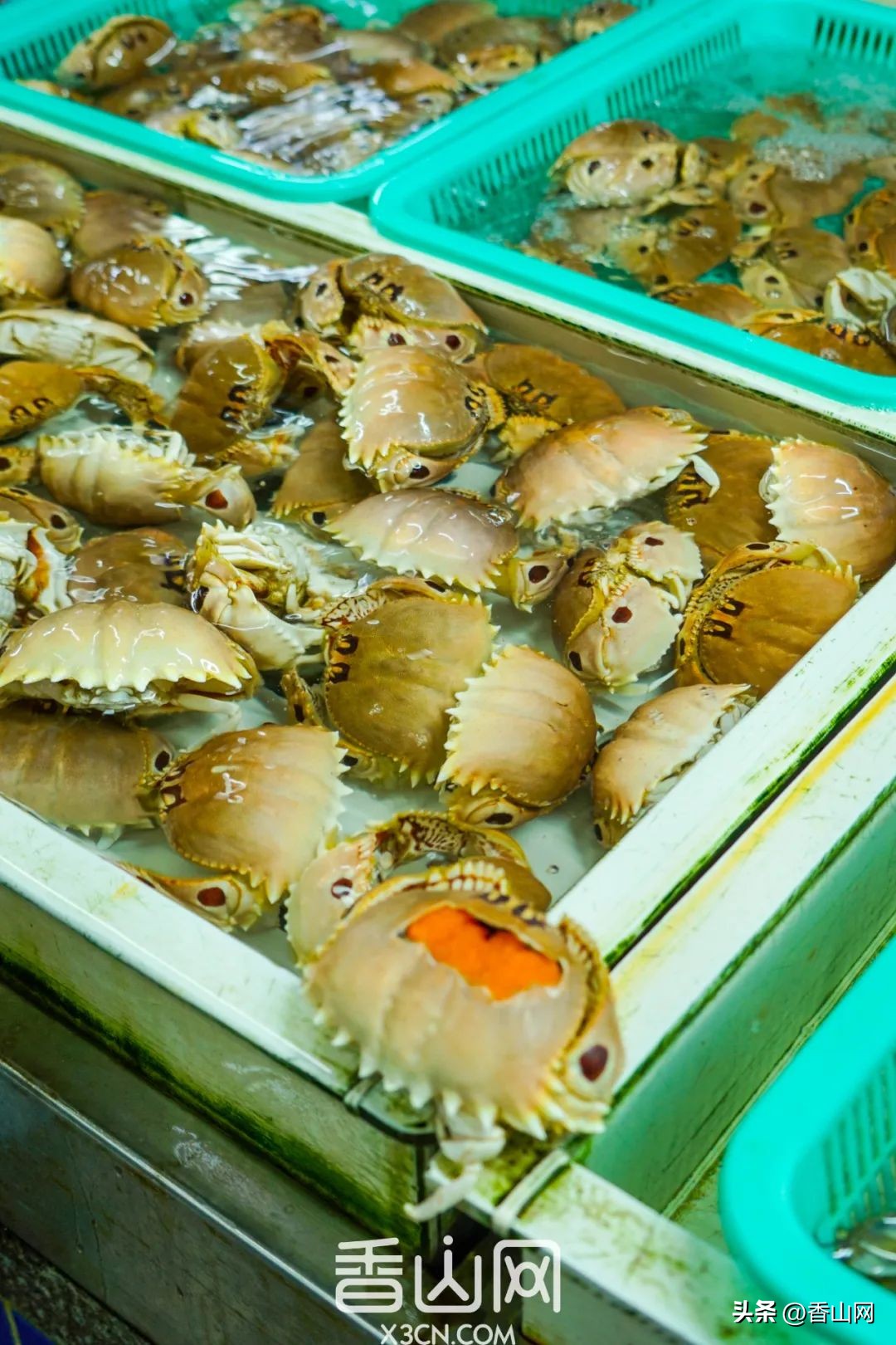 珠海专门吃海鲜地方,珠海海鲜市场吃海鲜哪里便宜