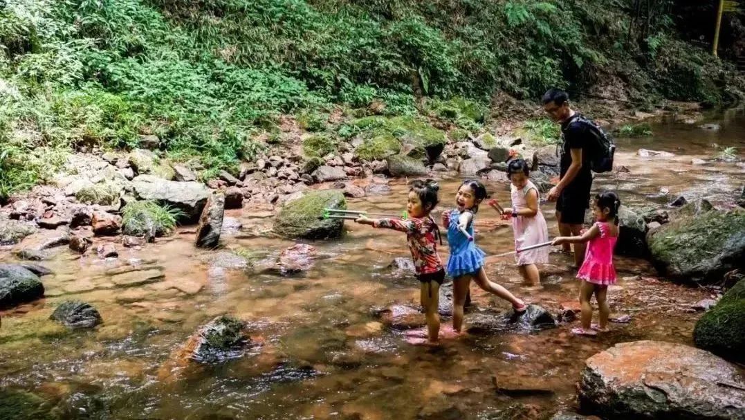 邛崃川西竹海攻略,邛崃竹海徒步攻略