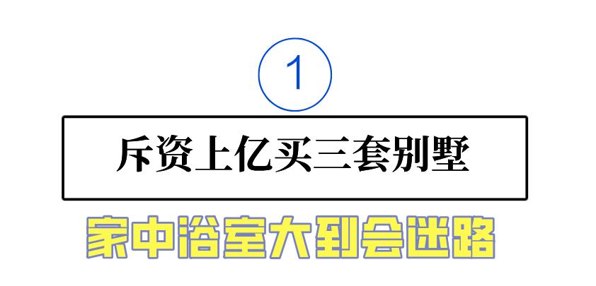 空壳太太张嘉倪,张嘉倪现状秦岚
