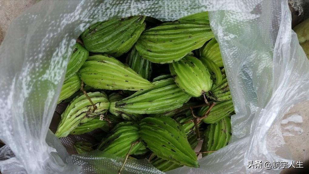 教你一道苦瓜的做法，掌握这个方法做出的苦瓜，美味又鲜绿又好吃