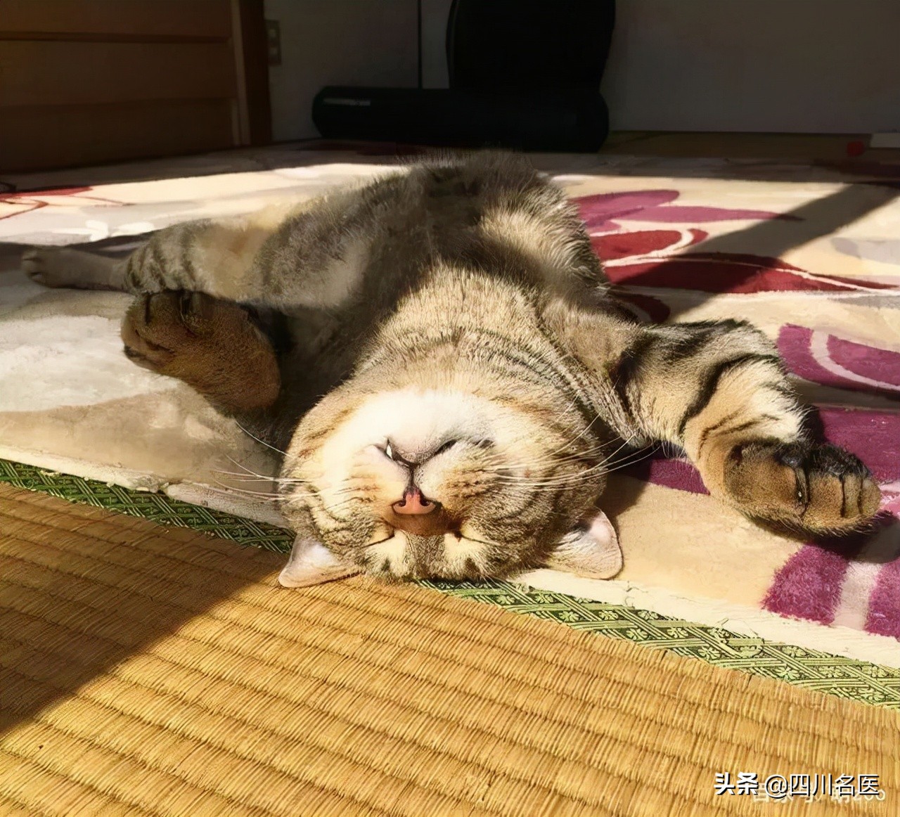 钙比牛奶还高的5种蔬菜,牛奶和青菜哪个补钙效果更好