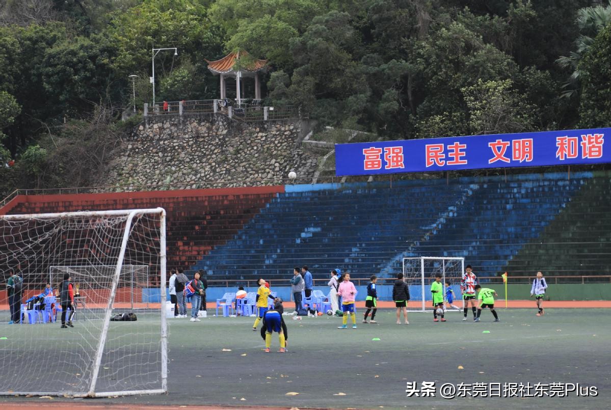 东莞人民公园真美,东莞人民公园故地重游