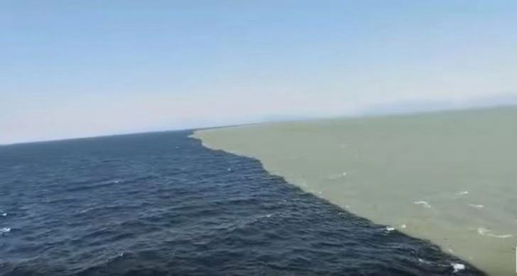 21张罕见照片让人眼界大开,26张令人惊叹的罕见图