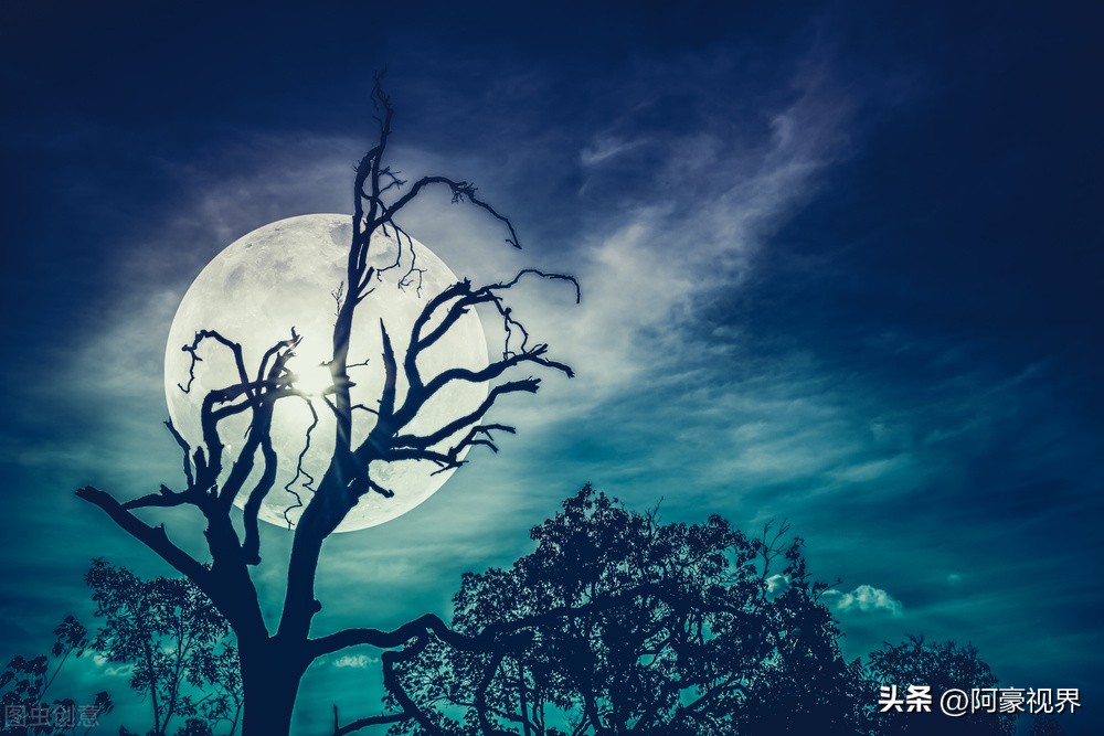 坟前长竹须迁坟,坟前长竹寓意步步高升竹报平安