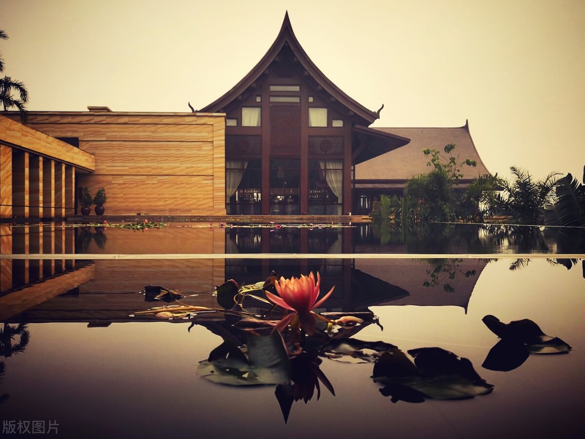西双版纳最适合住的地方,西双版纳避寒避暑的雨林仙境