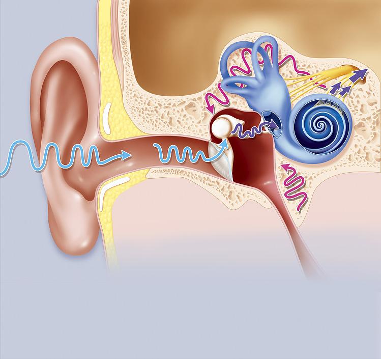 耳朵痒掏出来的东西潮湿有臭味,耳朵里太痒了掏出来臭臭的东西