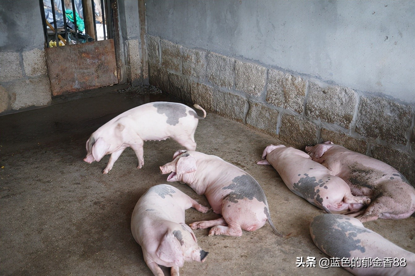 无名河我心中的伊甸园,画出我心中的伊甸园