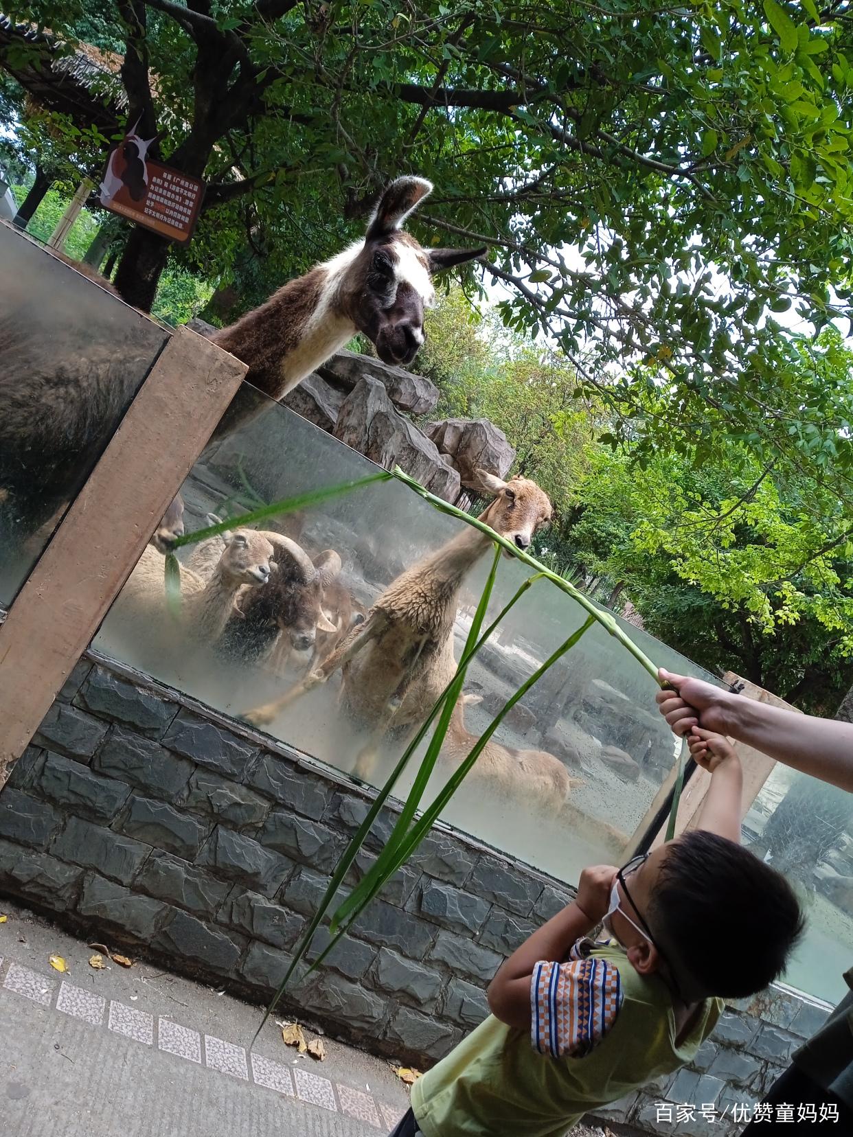 汕尾亲子游记,汕尾旅行攻略三天亲子游