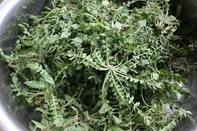 农村赚不了钱做什么,农村到底靠什么才能赚钱