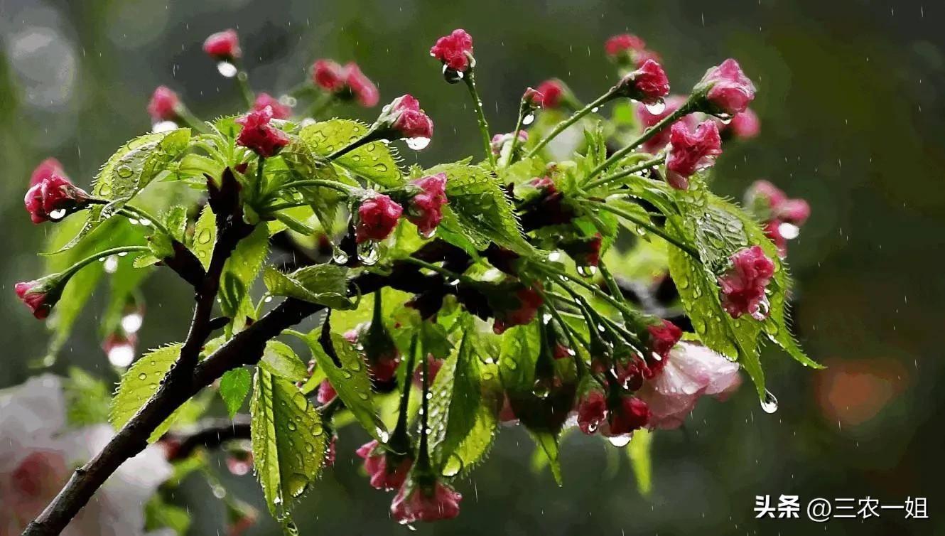 闰月清明不上坟有这个说法吗,清明节遇到了闰月有什么说法