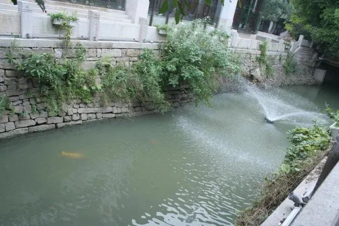 美丽的三坊七巷,我眼中的三坊七巷作文