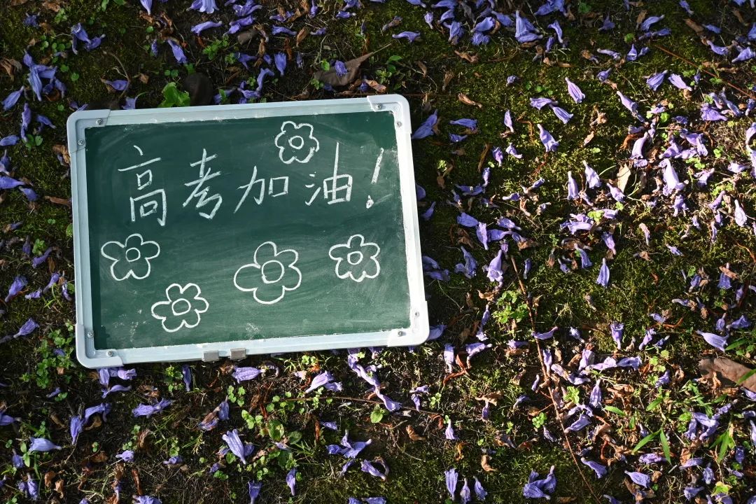 高考顺利！欢迎你来重庆，续写与重大的未来故事